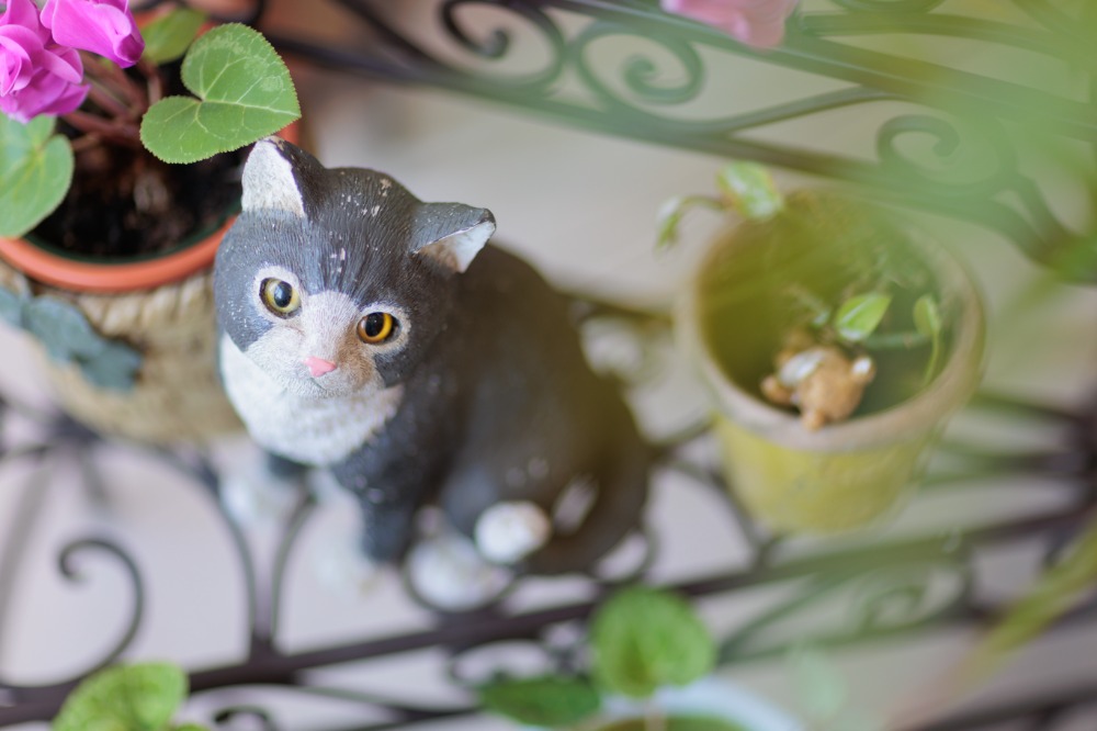 当店の様子をご紹介